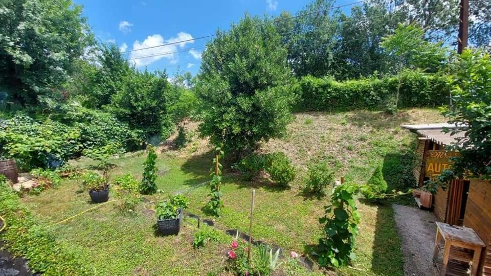 Villa Mimosa Le Bousquet-d'Orb Zewnętrze zdjęcie